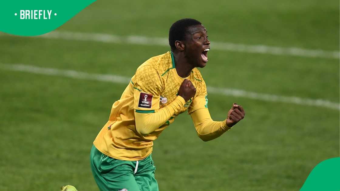 Niger, bottom of the log, still have mathematical hope, and Brighton believes that makes Friday’s clash with them in Kampala a potential banana skin.