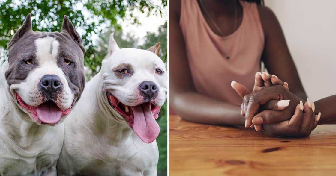 The heartbroken family of Eastern Cape women maulled to death by three pit bulls speaks out. The heartbroken family of Eastern Cape women maulled to death by three pit bulls speaks out.