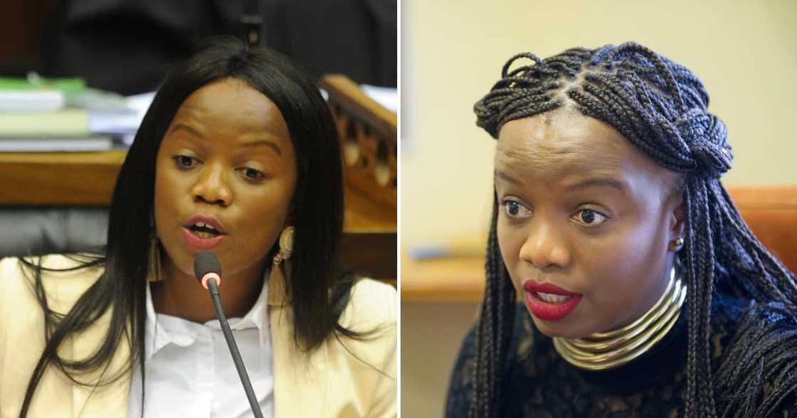 Former DA MP Phumzile Van Damme Former DA MP Phumzile Van Damme