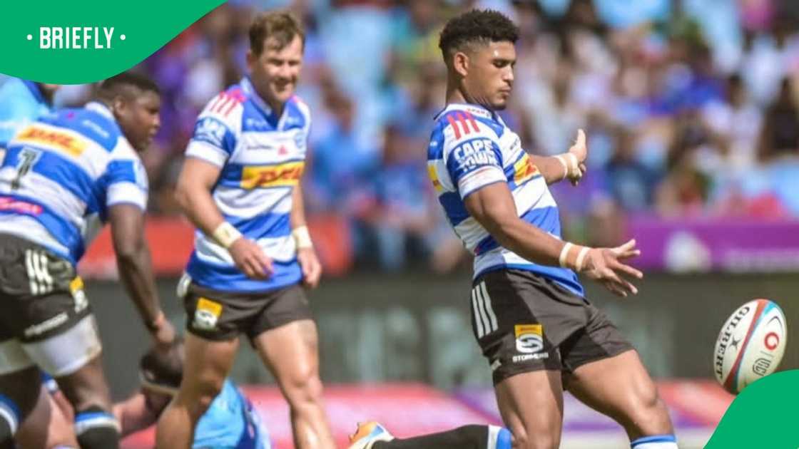 Sacha Feinberg-Mngomezulu, Springboks, DHL Stormers Sacha Feinberg-Mngomezulu, Springboks, DHL Stormers