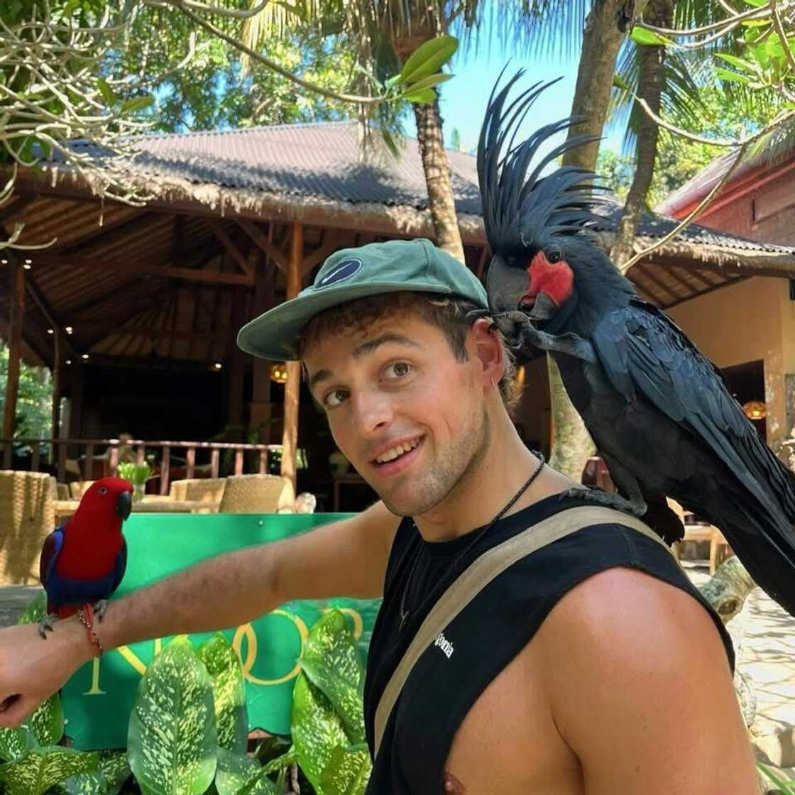 A UK tourist gave South African pies a rating after testing them. A UK tourist gave South African pies a rating after testing them.