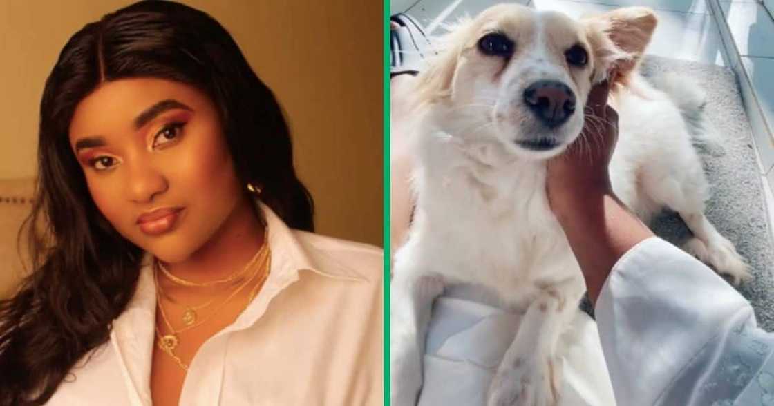A Kenyan woman and her dog that helps her with chores A Kenyan woman and her dog that helps her with chores