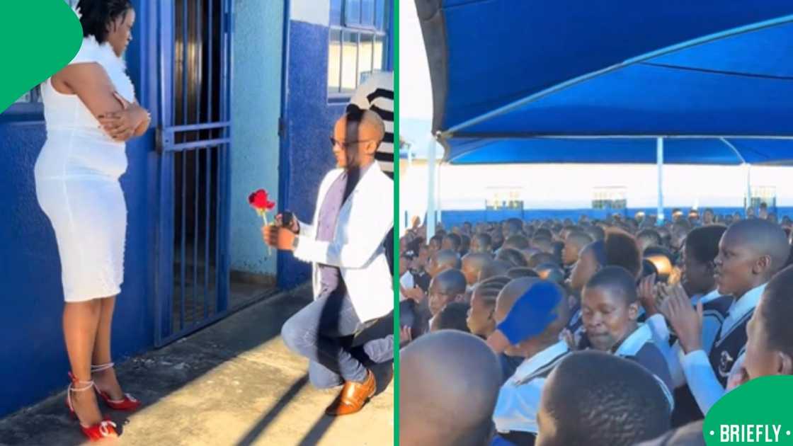 Love took centre stage at a school assembly when a teacher proposed to his fellow educator in front of students Love took centre stage at a school assembly when a teacher proposed to his fellow educator in front of students
