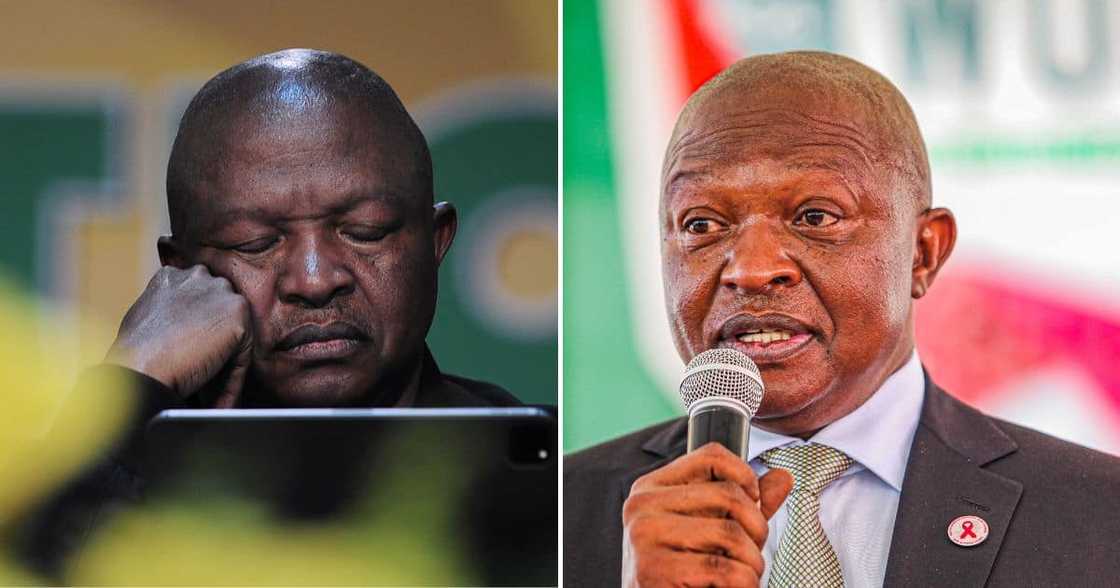 david mabuza david mabuza