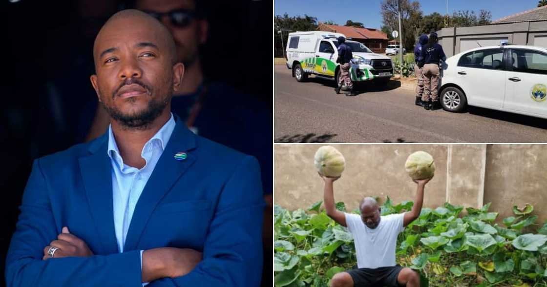 Mmusi Maimane , Djo BaNkuna, Police, Calls out, Bullying, Planting Vegetables, Sidewalk, Twitter reactions