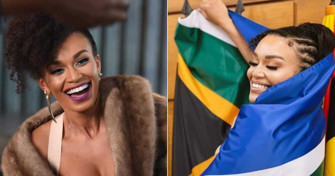 Pearl Thusi, Elections, Comment, Tweet, Last Minute, Pothole