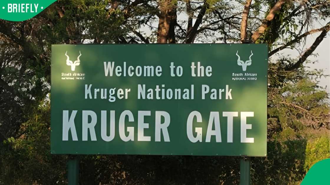AfriForum noted that the incident raised serious questions about safety in the park AfriForum noted that the incident raised serious questions about safety in the park
