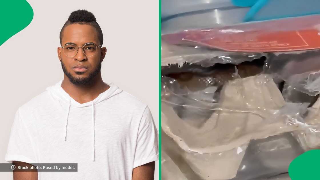 TikTok users were scared after seeing a tray of eggs with a reptile TikTok users were scared after seeing a tray of eggs with a reptile