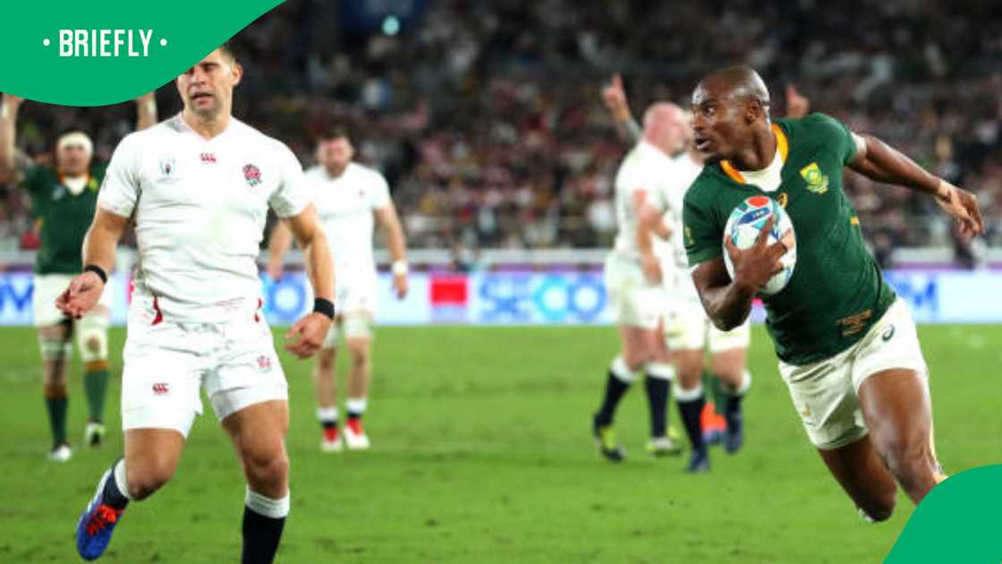 Makazole Mapimpi of South Africa scored his team's first try during the Rugby World Cup 2019 Final between England and South Africa on November 02, in Japan.