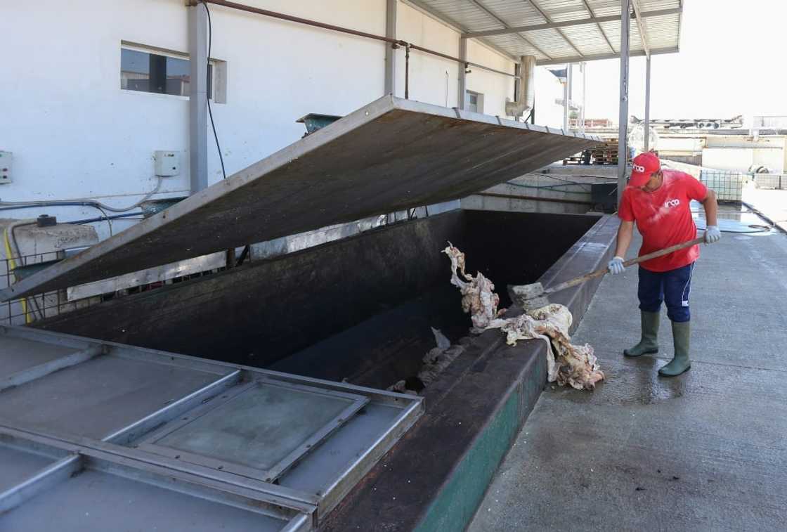 AZ Rendering produces organic fertiliser from animal waste AZ Rendering produces organic fertiliser from animal waste