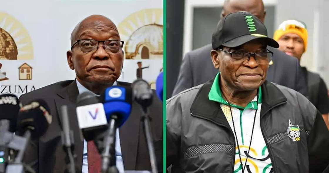 Jacob Zuma has survived a car accident. Jacob Zuma has survived a car accident.