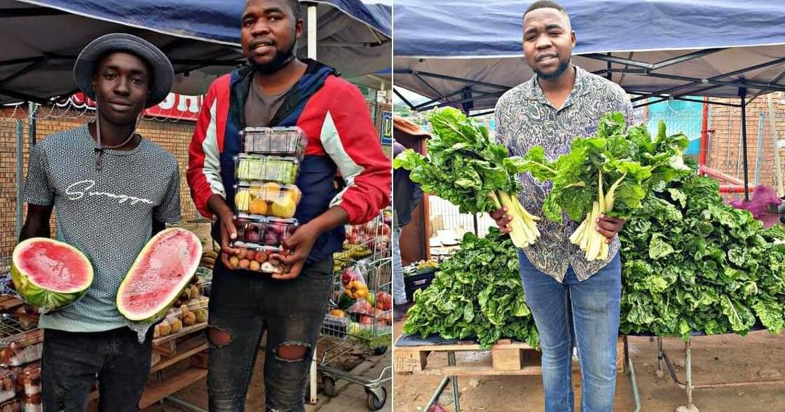 Graduate, Hustler, Mzansi, Veggie Business, South Africa, Nelspruit Graduate, Hustler, Mzansi, Veggie Business, South Africa, Nelspruit