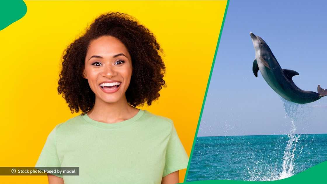 Facebook users were not sure whether to laugh or be sad after seeing an energetic marine mammal Facebook users were not sure whether to laugh or be sad after seeing an energetic marine mammal