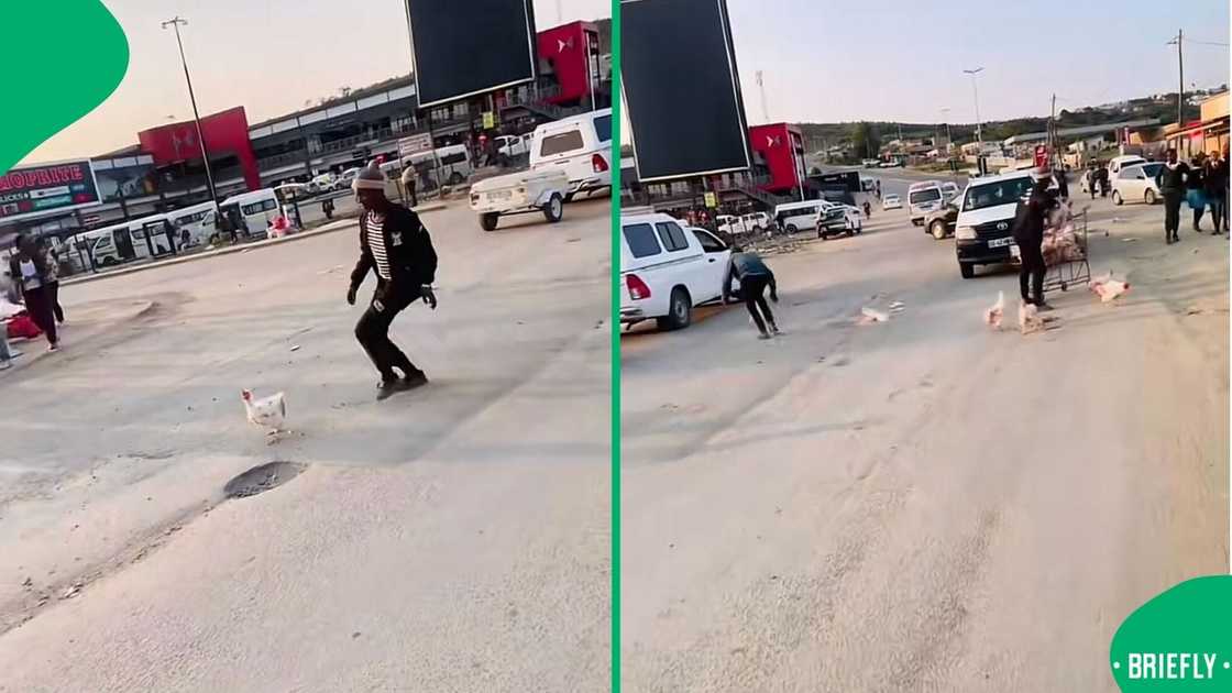 A man amused South Africans after he was captured running after his chickens that escaped on a busy road. A man amused South Africans after he was captured running after his chickens that escaped on a busy road.