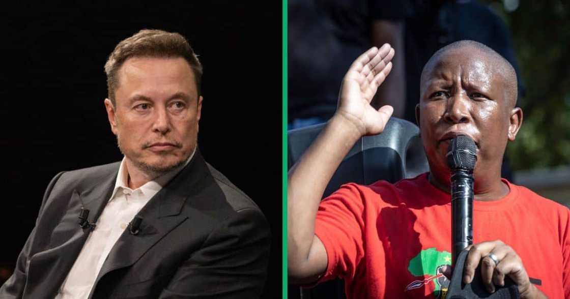 Julius Malema slams Elon Musk for tweet Julius Malema slams Elon Musk for tweet