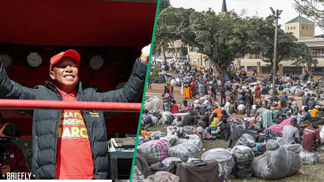 Malawi Malema Malawi Malema