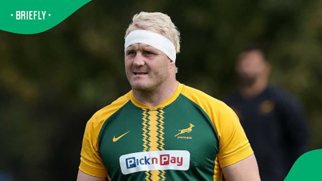 Springboks