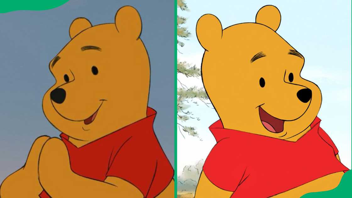 Winnie the Pooh from Winnie the Pooh.