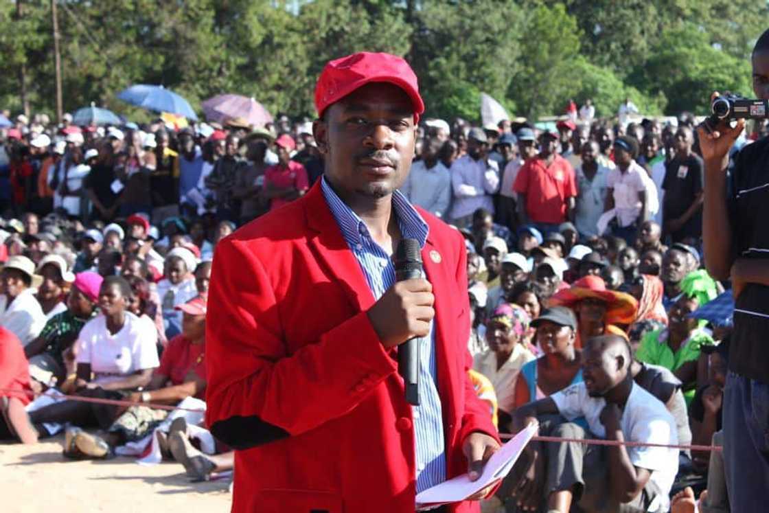 nelson chamisa net worth