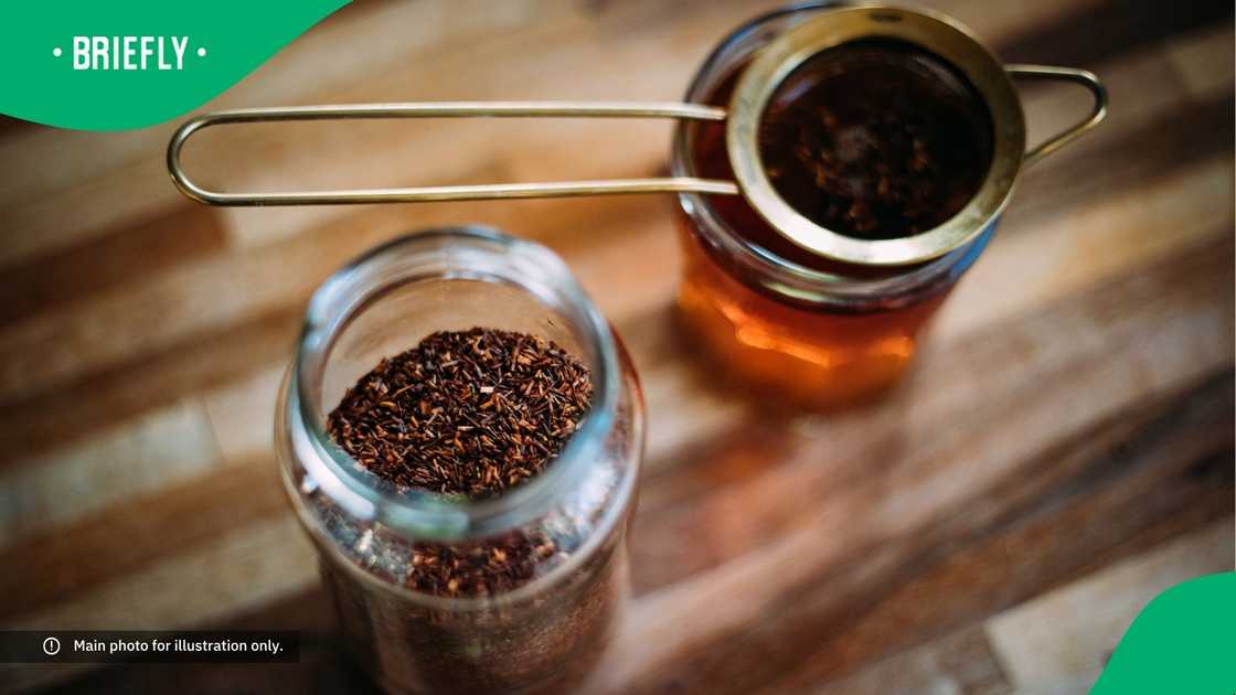 Rooibos tea in a glass.