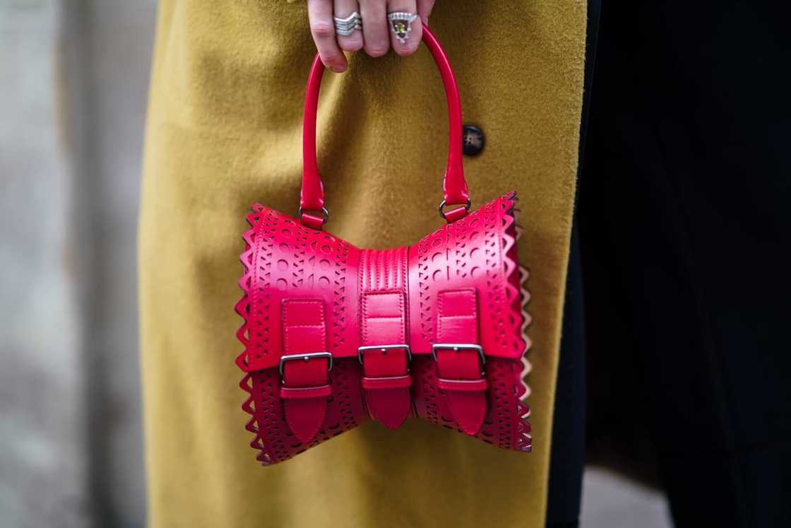 Alaia bag Alaia bag