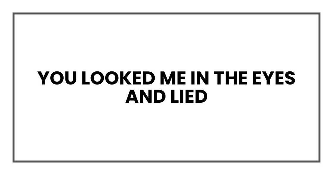 You looked me in the eyes and lied You looked me in the eyes and lied