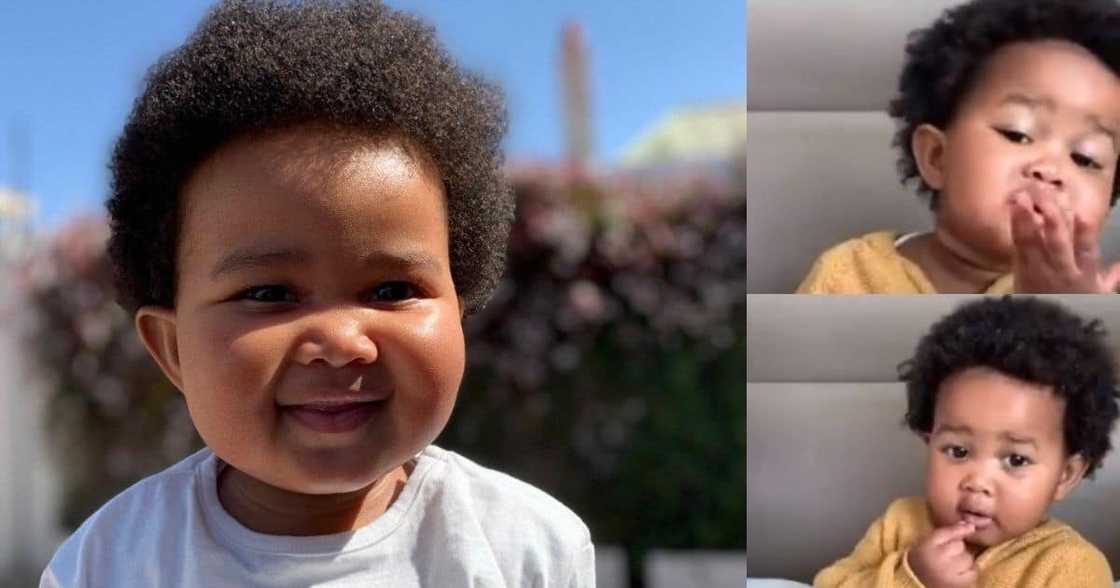 Adorable, toddler, learning sign language Adorable, toddler, learning sign language