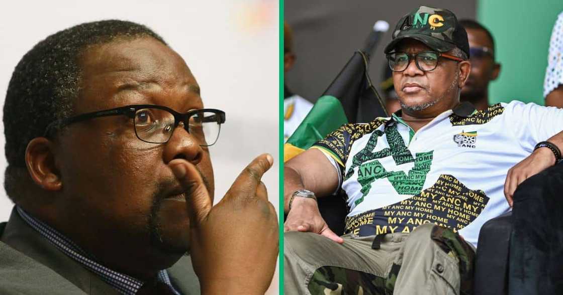 Former Minister of Police Nathi Nhleko blamed Fikile Mbalula for his resignation