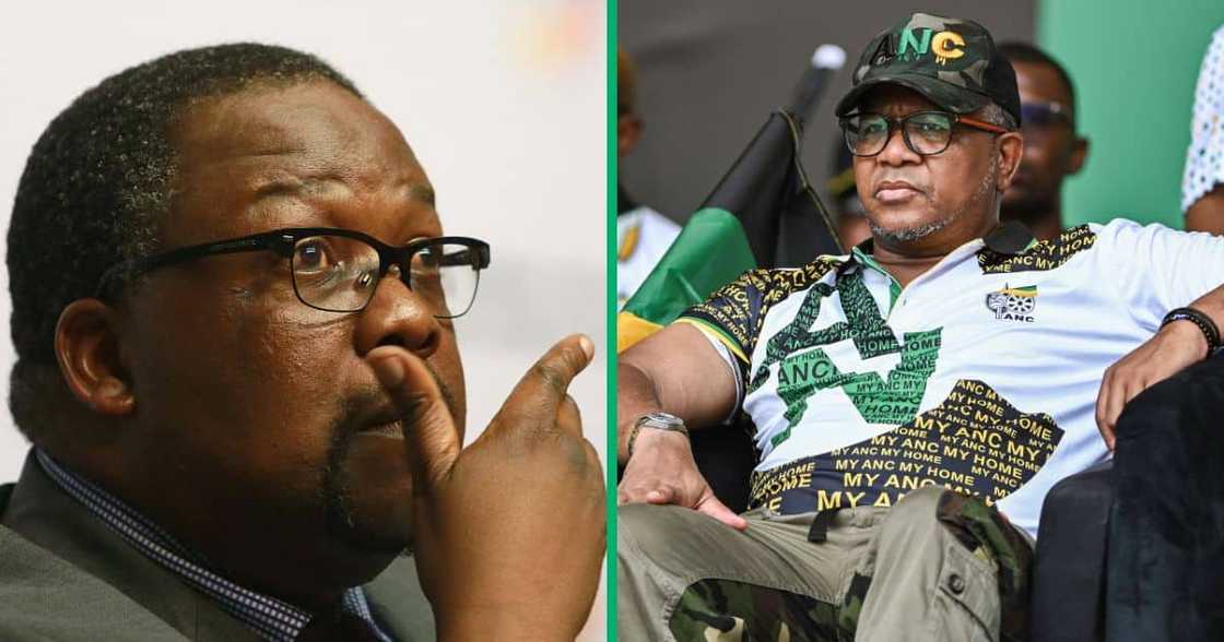 Former Minister of Police Nathi Nhleko blamed Fikile Mbalula for his resignation Former Minister of Police Nathi Nhleko blamed Fikile Mbalula for his resignation
