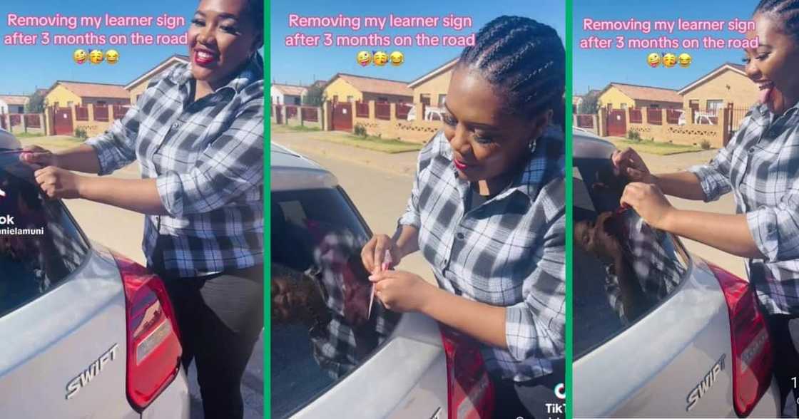 A new driver removes learner sign off her Suzuki Swift A new driver removes learner sign off her Suzuki Swift