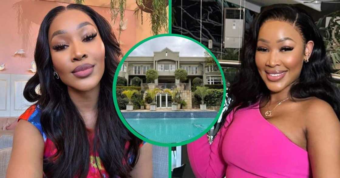 Mrs Mops' mansion was put up for auction. Mrs Mops' mansion was put up for auction.