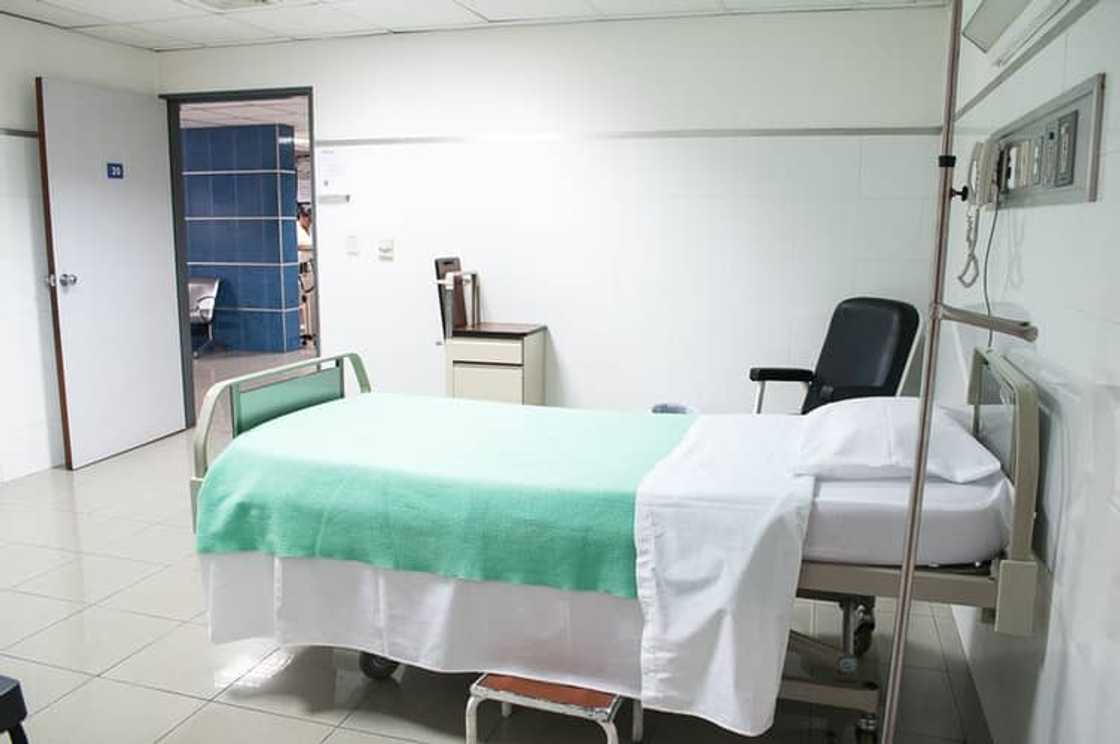 How does sick leave work in South Africa 2022? Full guide Briefly.co.za