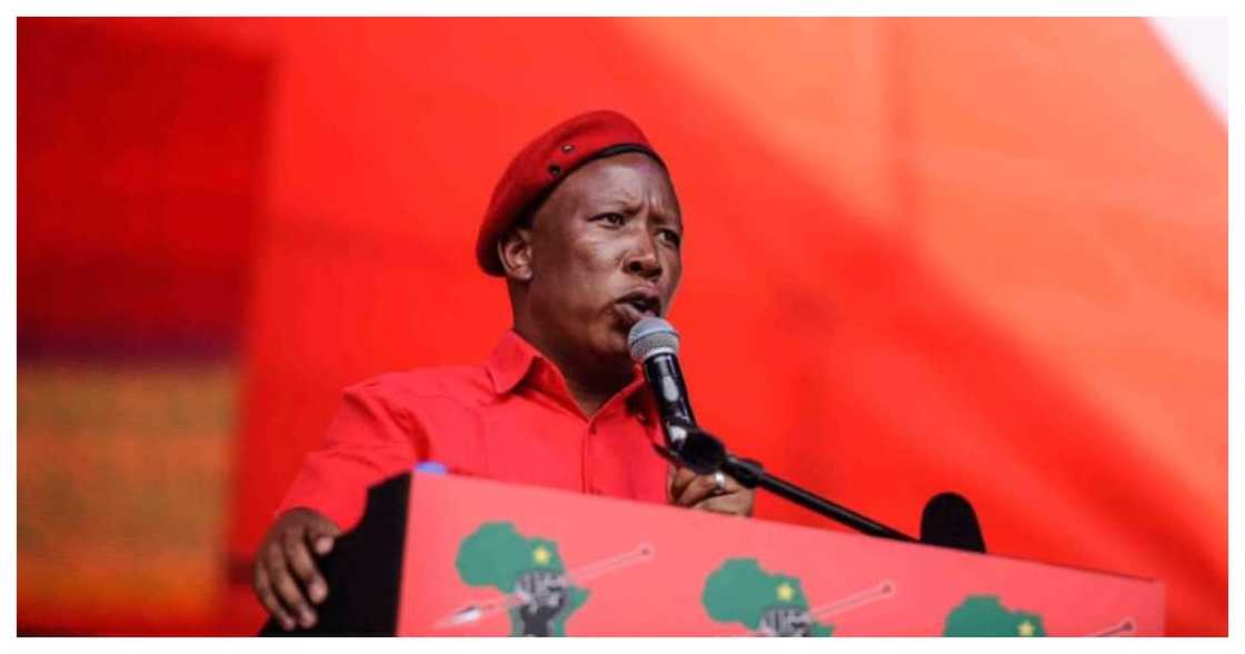Juju Shocked No One From EFF Invited to Testify at State Capture, Mzansi Reacts Juju Shocked No One From EFF Invited to Testify at State Capture, Mzansi Reacts
