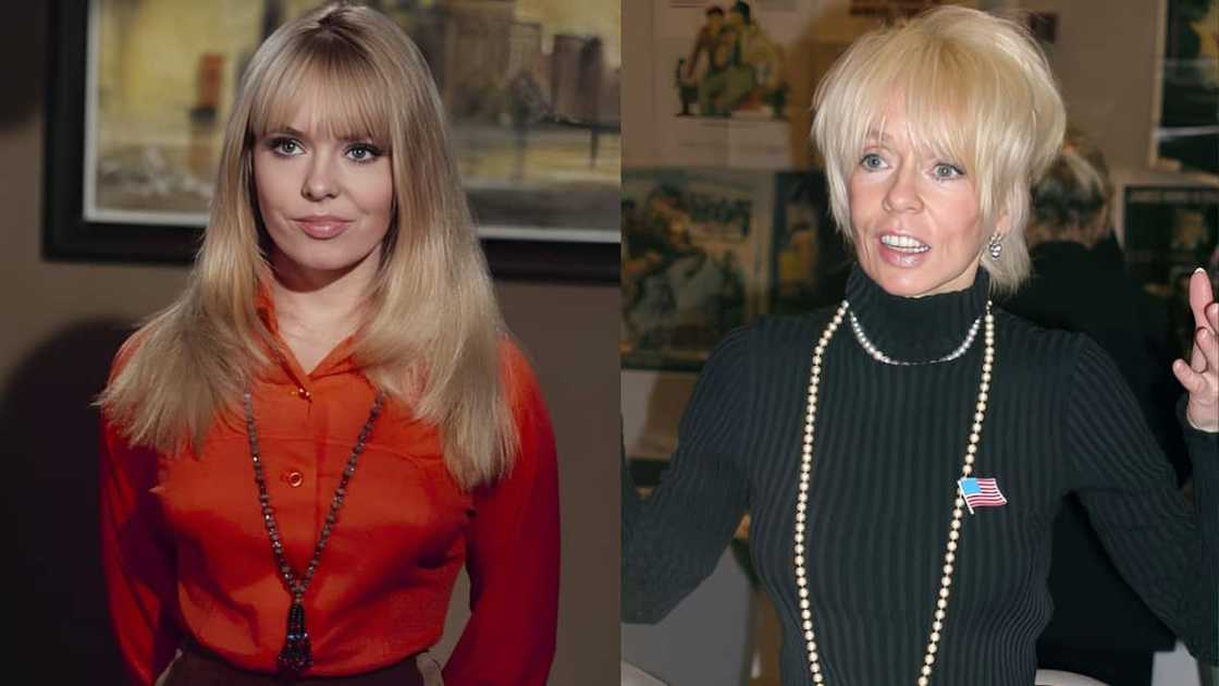 Joey Heatherton's then and now pictures Joey Heatherton's then and now pictures