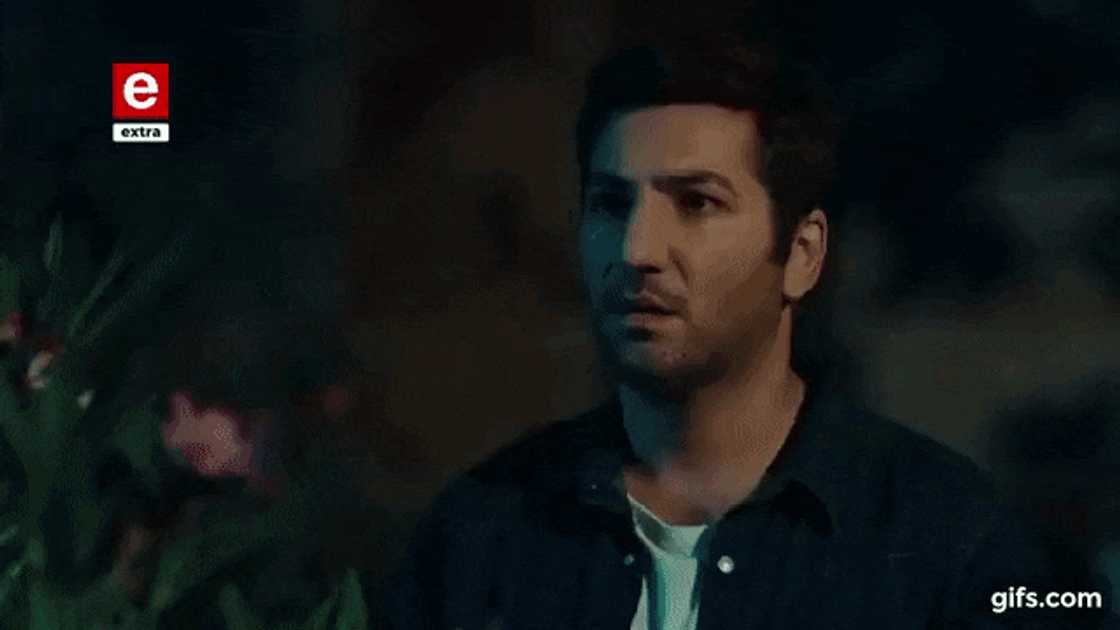 Fenix plot summary Fenix plot summary