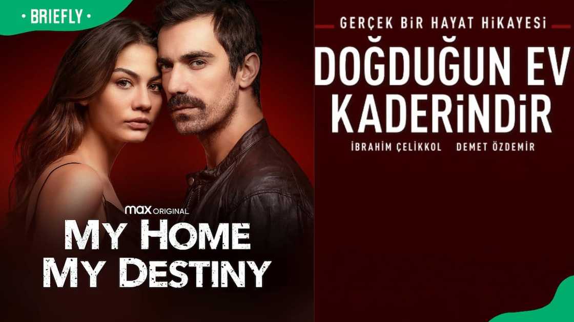 Verdeelde Liefde's story Verdeelde Liefde's story