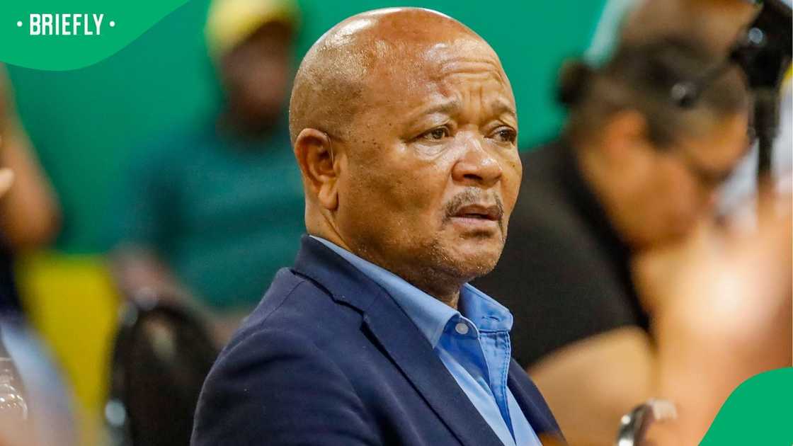 Dereleen James noted that Senzo Mchunu was an ANC member Dereleen James noted that Senzo Mchunu was an ANC member