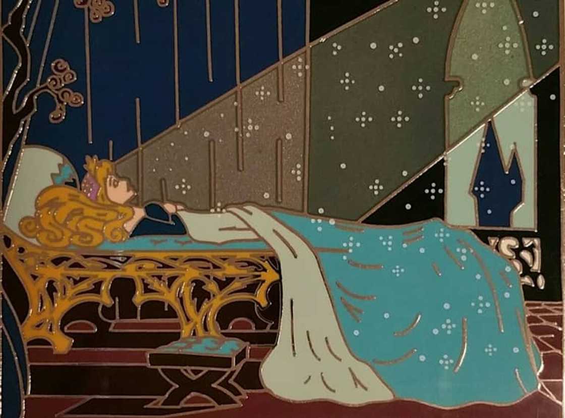 The Sleeping Beauty Elisabete Gomes Pin The Sleeping Beauty Elisabete Gomes Pin