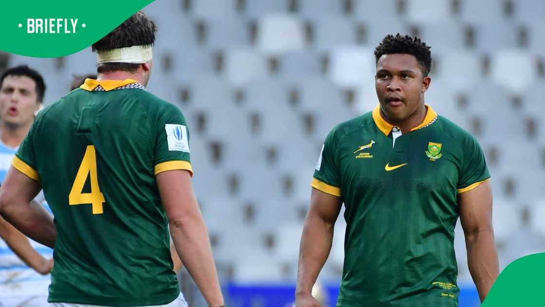 Springboks, South Africa, Zachary Porthen Springboks, South Africa, Zachary Porthen