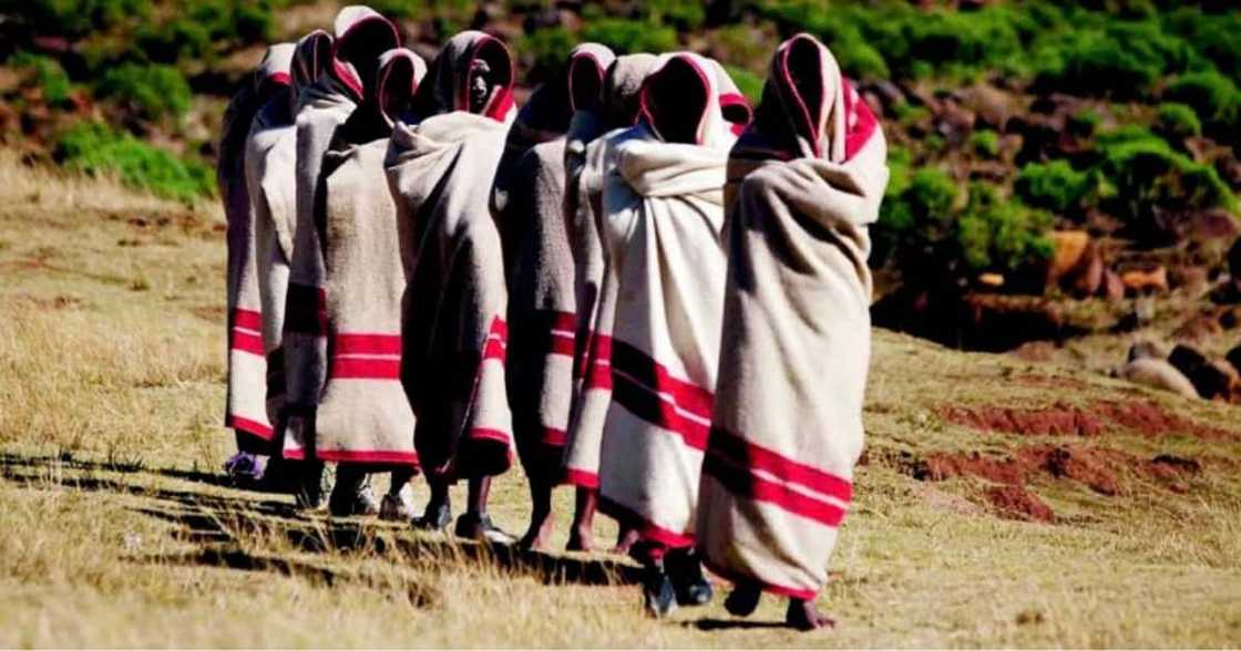 Initiation season, Limpopo, Eastern Cape, Initiation schools Initiation season, Limpopo, Eastern Cape, Initiation schools