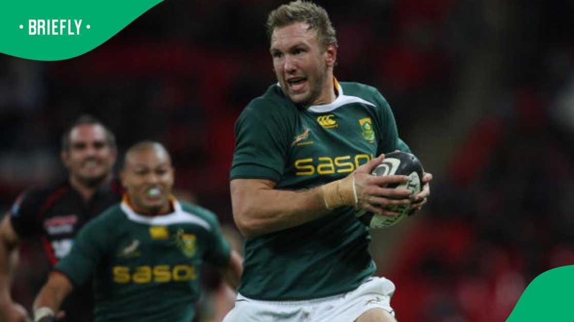 Springboks