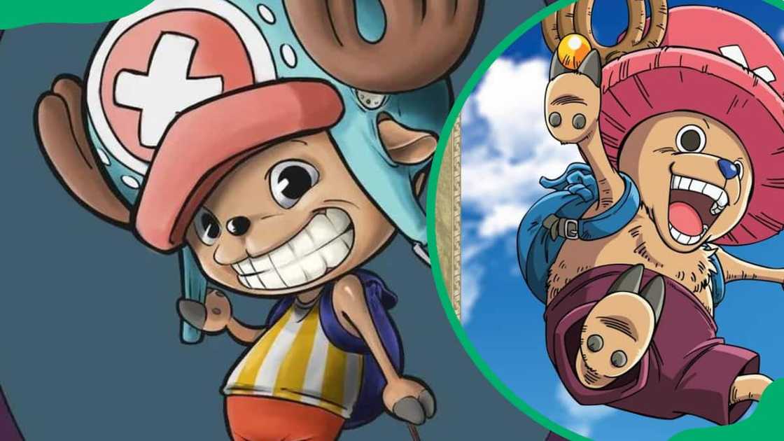 Chopper having a good time Chopper having a good time