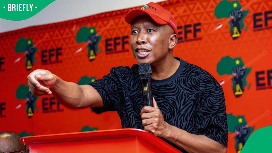 Julius Malema is not impressed with Advocate Shamila Batohi Julius Malema is not impressed with Advocate Shamila Batohi