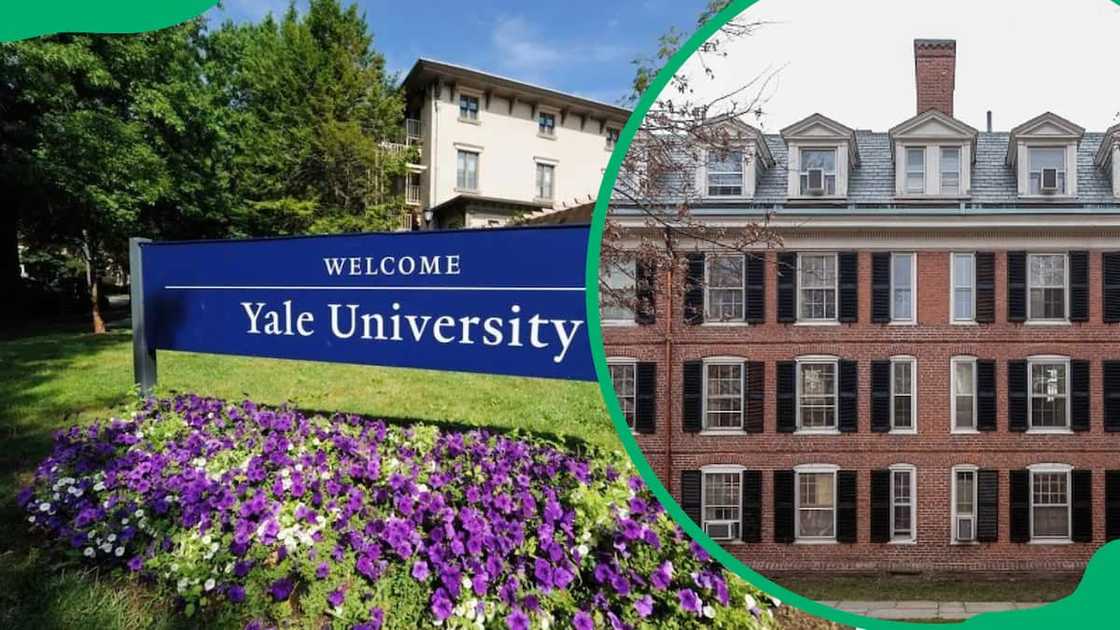 Yale University Yale University