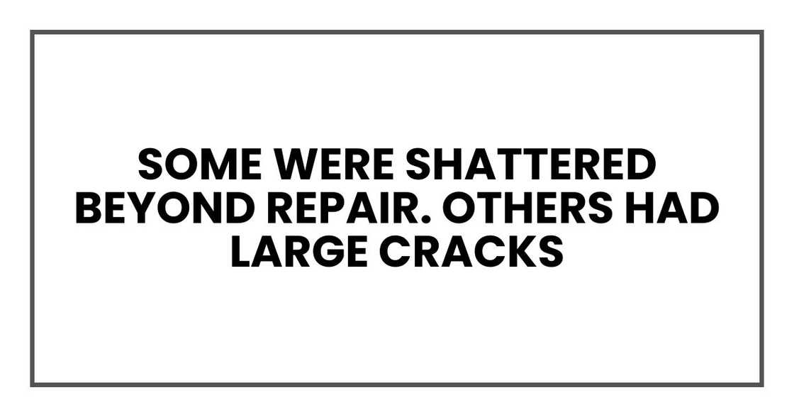 Some were shattered beyond repair. Others had large cracks Some were shattered beyond repair. Others had large cracks