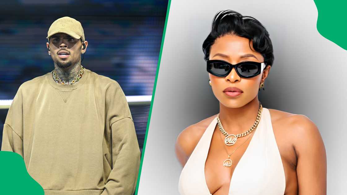 SA reacted to DJ Zinhle perving over Chris Brown SA reacted to DJ Zinhle perving over Chris Brown