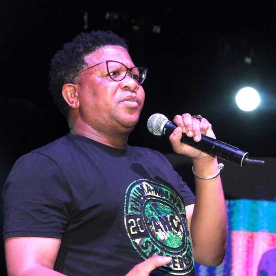 Fikile Mbalula biography: age, wife, education, Tweets, cars and contact details