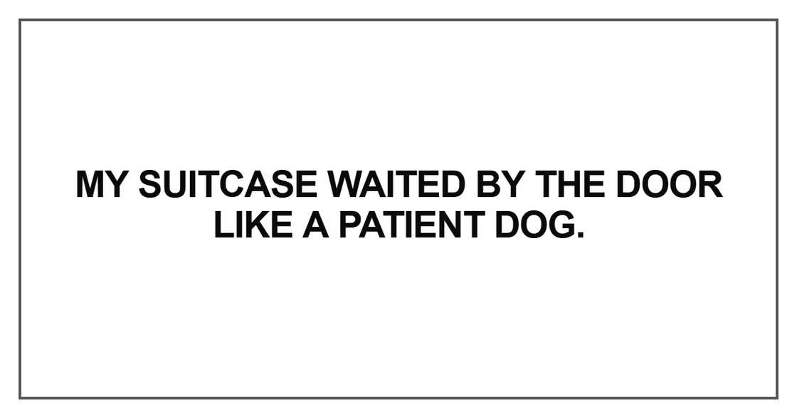 My suitcase waited by the door like a patient dog My suitcase waited by the door like a patient dog