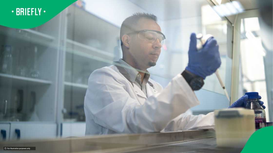 Scientists make breakthrough in animal to human transplant Scientists make breakthrough in animal to human transplant