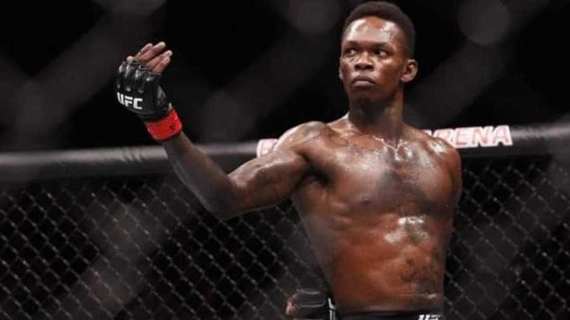 Current black UFC fighters Current black UFC fighters